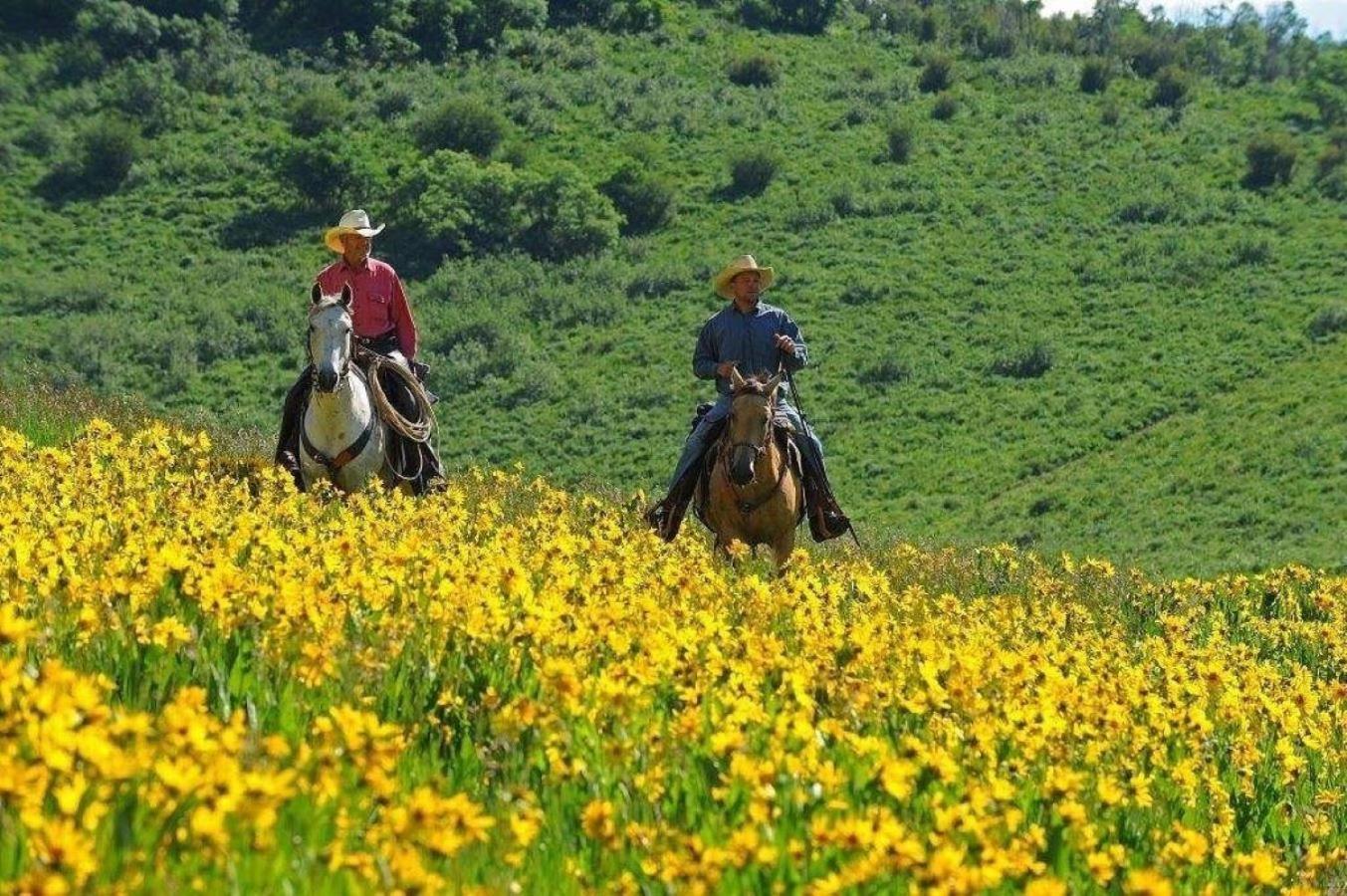 Western Lodge 斯廷博特斯普林斯 外观 照片